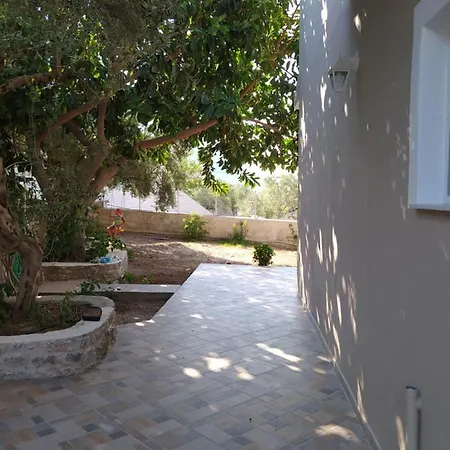 Mani Kotronas